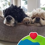 Karen Halterman - @jagger6082 - Instagram