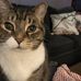 Karen Hamann - Facebook