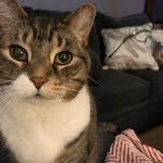 Karen Hamann - @hamannhussey - Instagram