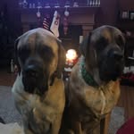 Karen Hamann Hansen - @khansen1001 - Instagram