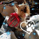Karen Hammel - @karen.hammel.13 - Instagram