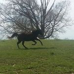 Karen Hammel - @hammelkaren - Instagram
