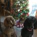 Karen Hammel - Facebook