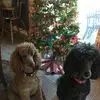 karenhammel - @karenhammel - TikTok