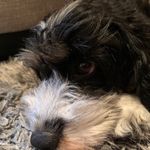 Karen Hanscom - @karen._hanscom - Instagram