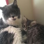 Harold & Karen - @harold_karen_17 - Instagram