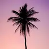 Karen Harshbarger - @karen.harshbarger - TikTok