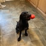 Karen Haslam - @haslam3536 - Instagram