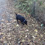Karen Haslam - @karen.haslam.965 - Instagram