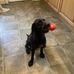 Karen Haslam - Facebook