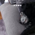 Karen Haslam - @haslam7455 - Instagram