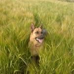 Karen Haslam - @karen.haslam.714 - Instagram