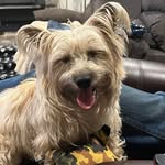 Karen Hendren - @karenhendren01 - Instagram