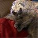 Karen Hepler - Facebook