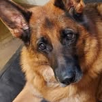 Karen Hewitt - @karen____hewitt - Instagram