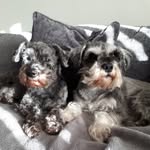Karen Hillary - @karenhillary8 - Instagram