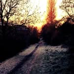 Karen Honeyman - @karenhoneymanphotography - Instagram