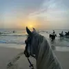 Karen Human - @karenhuman3669 - TikTok