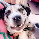 Karen (not like the human) - @not.ur.typical.karen - Instagram