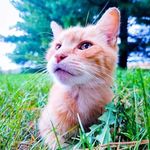 Karen Hurless - @littlestar_63 - Instagram