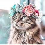 @kimberly_karen_ - Instagram