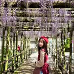 Karen  Ip - @karen_brabbitakashi - Instagram