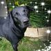 Karen Jackowski - Facebook