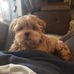 Karen Jacoby - Facebook