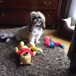 Karen Jantz - @karen_jantz53 - Instagram