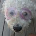 Karen Jaye - Facebook