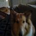 Karen Jump Henry - Facebook