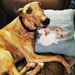 Karen Kaizer - @tea_time_with_earl_greyhound - Instagram