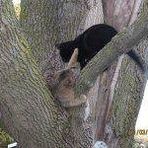 Karen Kampmann - Facebook