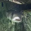 KARENKATCHER - @karenkatcher - TikTok
