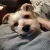 Karen Kates - @karen.kates - TikTok