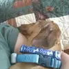 karen kavanagh - @karen.kavanagh0 - TikTok