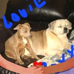 Karen Burks Keesee - Facebook
