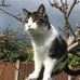 Karen Kell - Facebook
