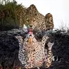 Karen Wiseman - @karenkennerlywiseman - TikTok