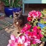 Karen Cunningham Kennett - @karenck27 - Instagram
