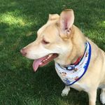 Karen Ketcham - @kbketcham - Instagram