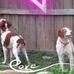 Karen Kidder - Facebook