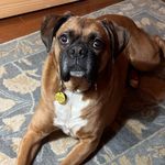 Karen Kidder Gottmann - @karengottmann - Instagram