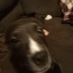 Karen Killian - @karen.killian2023 - Instagram