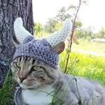 Karen Killian Henriksen - @karenkkillian - Instagram