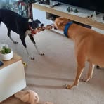Karen Kilpatrick - Facebook