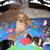 Karen Kimble817 - @karenkimble817 - TikTok
