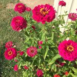 Karen Kimble - @karen.kimble.332 - Instagram