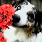 Karen Kleinert - @outdoor_holiday_care - Instagram