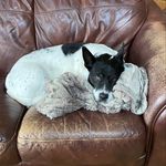 Karen Koerner Linette - @karen.c.linette - Instagram